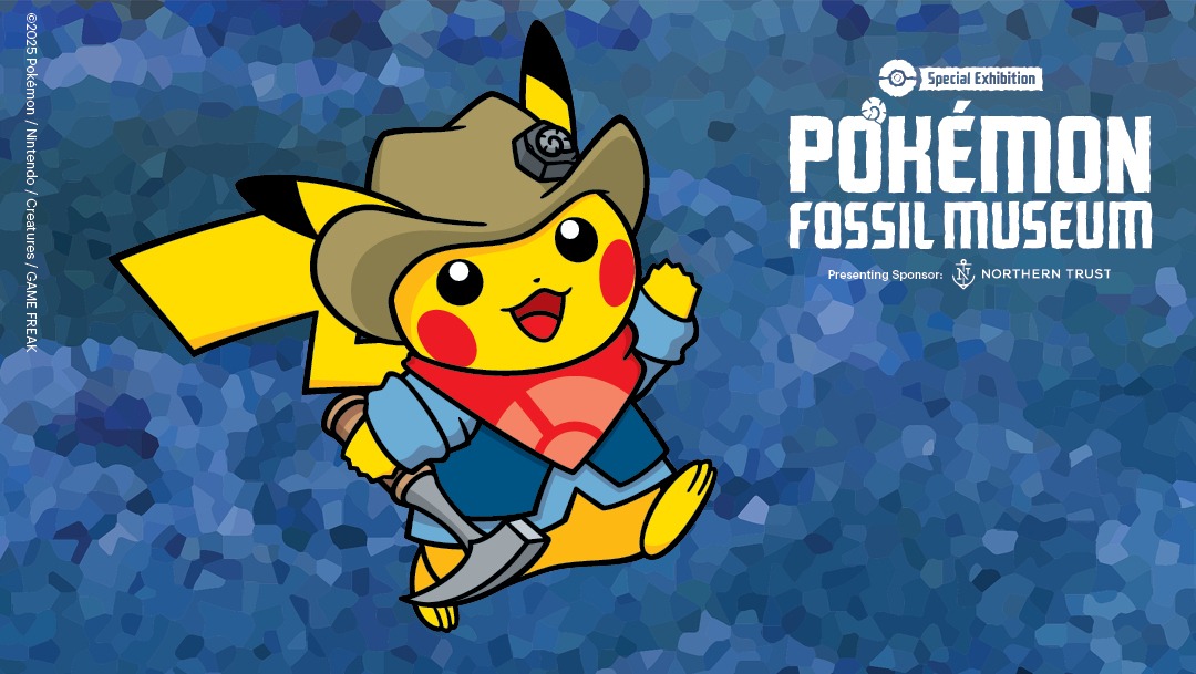 Pokemon Fossil Museum